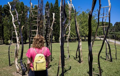 Exposição `Paulo Neves- O Tempo das Árvores Foto - José Coelho/Lusa